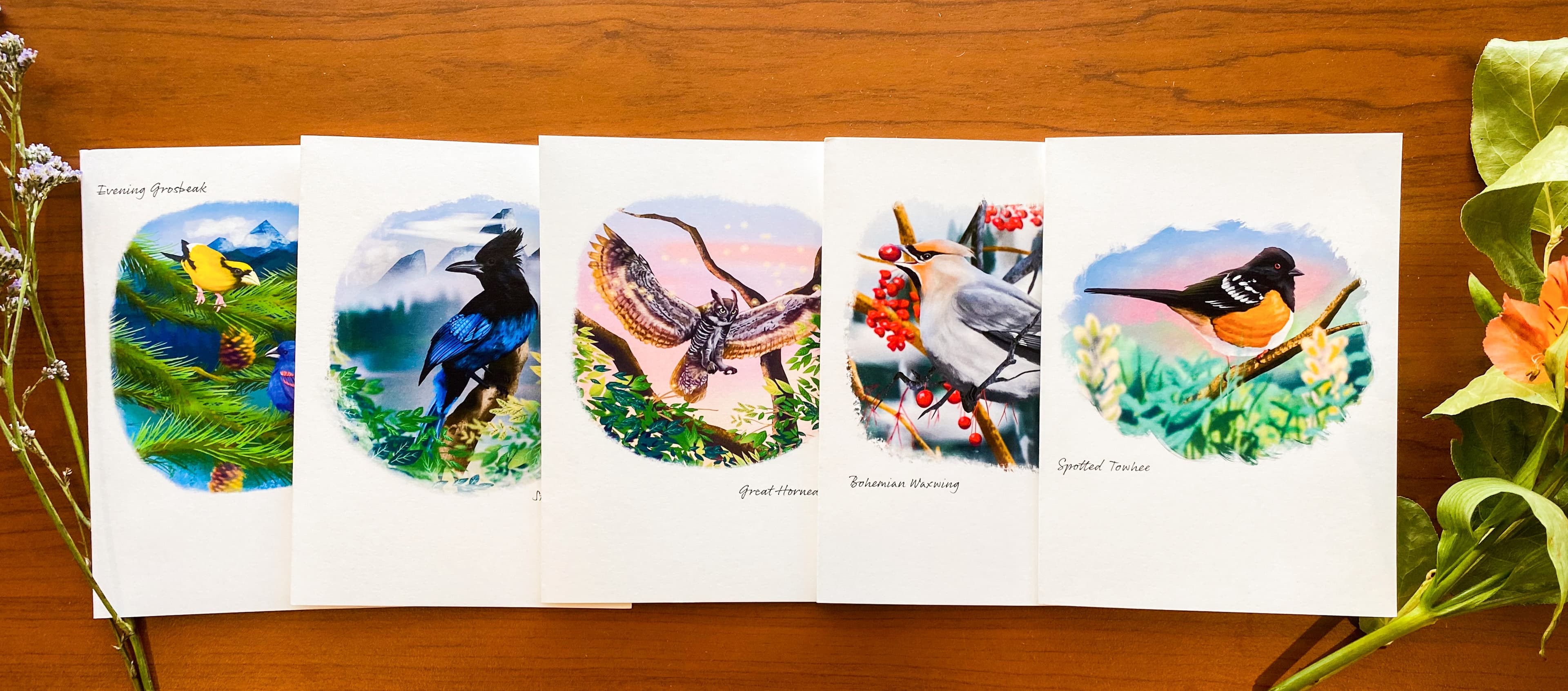 The five Birds of the Rocky Mountains greeting cards laid out on a wooden table.